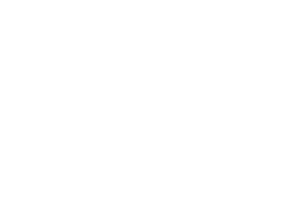 León Sport Logo